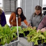 Four female high school students work with plants